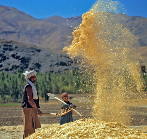 Afghanistan -Ric Ergenbright photo
