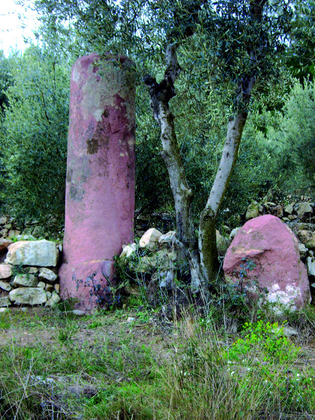 Miliario in situ -Via Augusta entre la Pobla Tornesa y Cabanes en Castellón