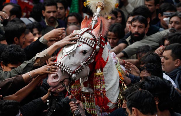 Shi'ite men touch a decorated horse during a procession in Lahore, Pakistan